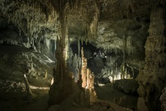 Cenote Coop 1 - cave up stream
